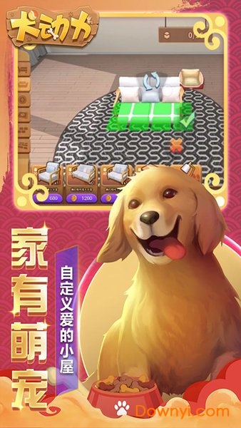 犬动力手游