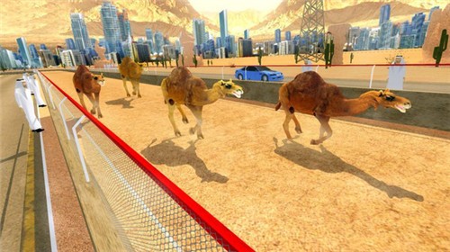 骆驼跑酷模拟器最新版游戏截图