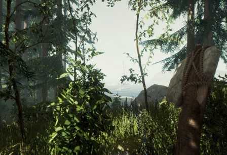 森林动物模拟器游戏截图